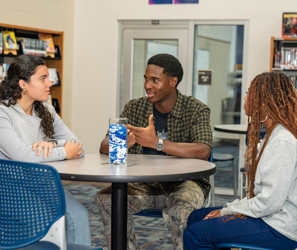 Rosen Scholars Alumni Network